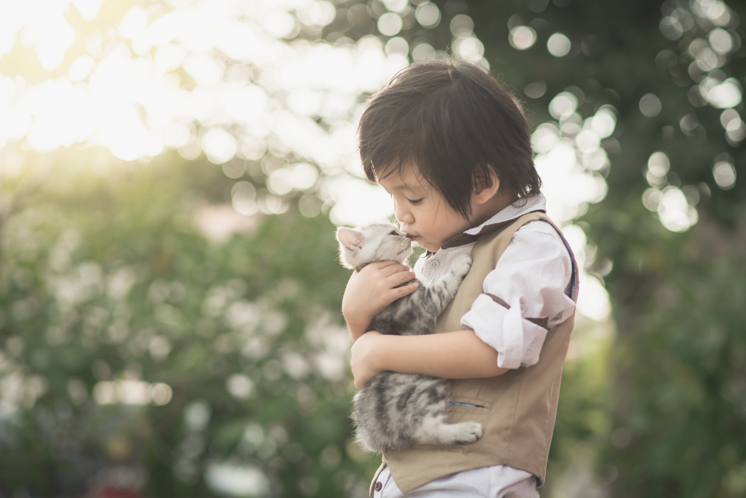 猫を抱える男の子