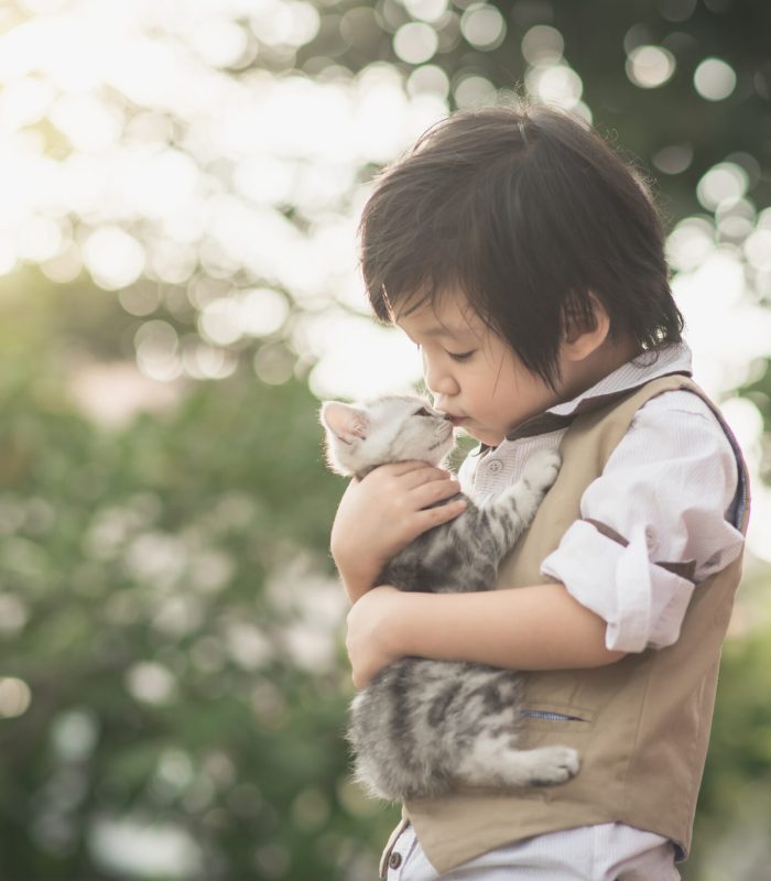 猫を抱える男の子